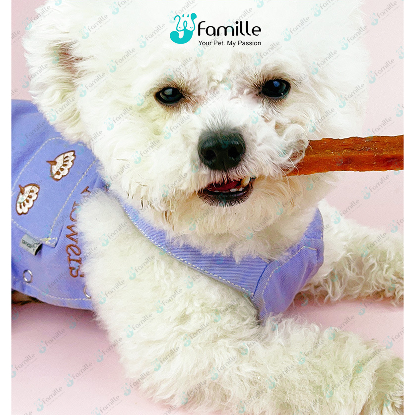 Snack Ăn Vặt Cho Chó Mèo JFAMILLE, Gà Vịt Tẩm Sữa Dê, Treat Thưởng Bổ Sung Dinh Dưỡng & Chất Béo. JF245