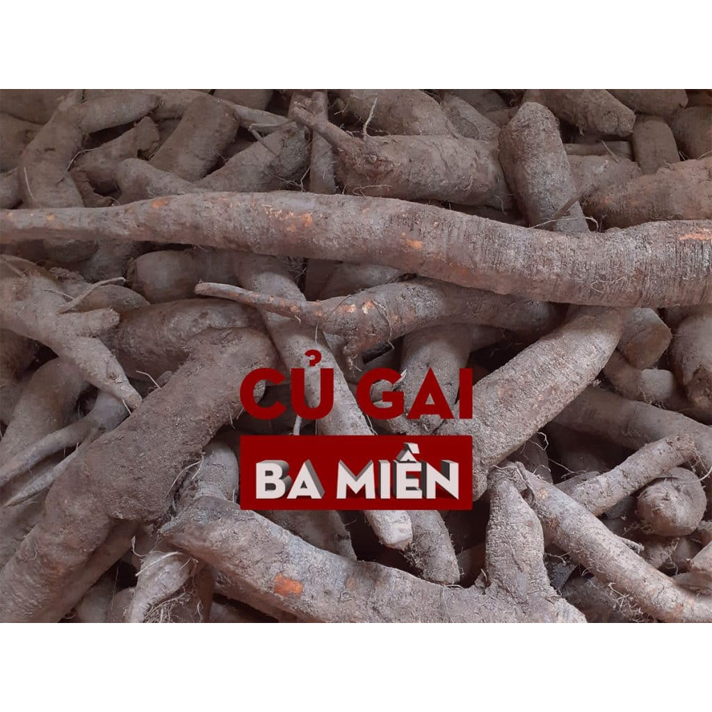 1kg Củ gai tươi an thai Ba Miền