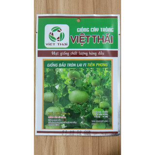 [HCM] Giống bầu tròn lai F1 Tiên Phong Việt Thái 2g