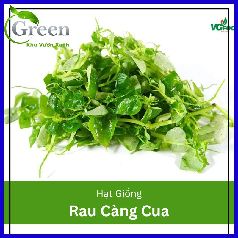Hạt Giống Rau Càng Cua
