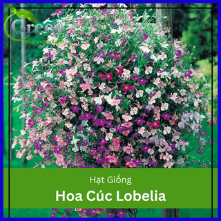 Hạt Giống Hoa Cúc Lobelia (Hoa Thúy Điệp) Mix Xuất Xứ Đức (100H)