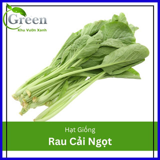 Hạt giống cải ngọt - gói 20 gam