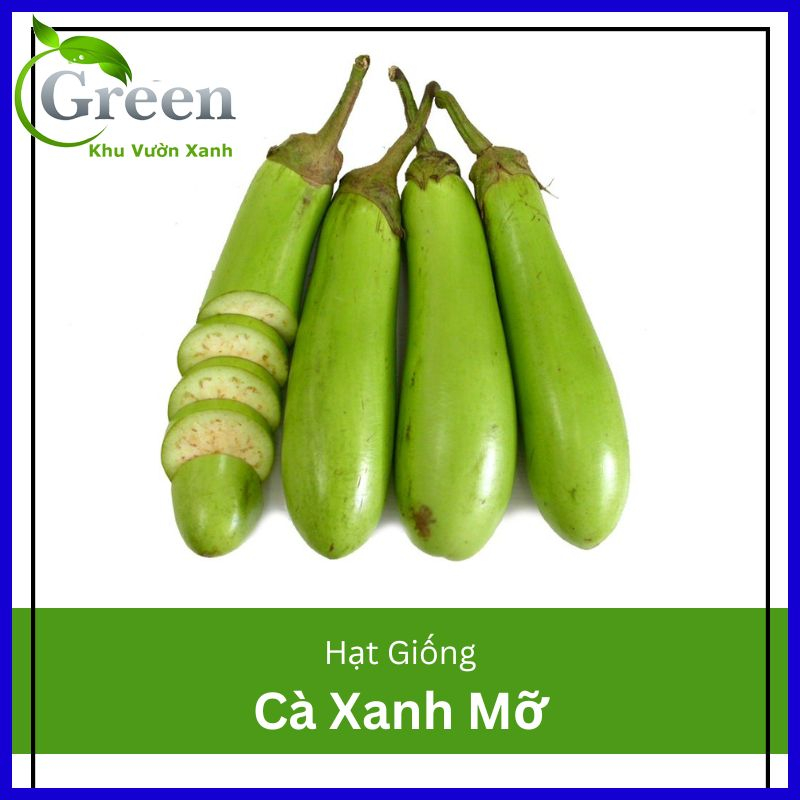 Hạt Giống Cà Xanh Mỡ Trái Dài Dễ Trồng