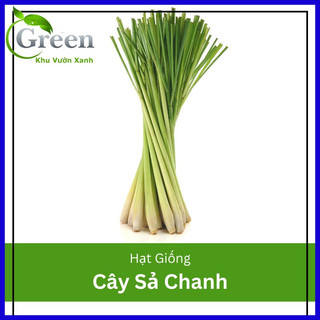 Hạt Giống Cây Sả Chanh (10H)
