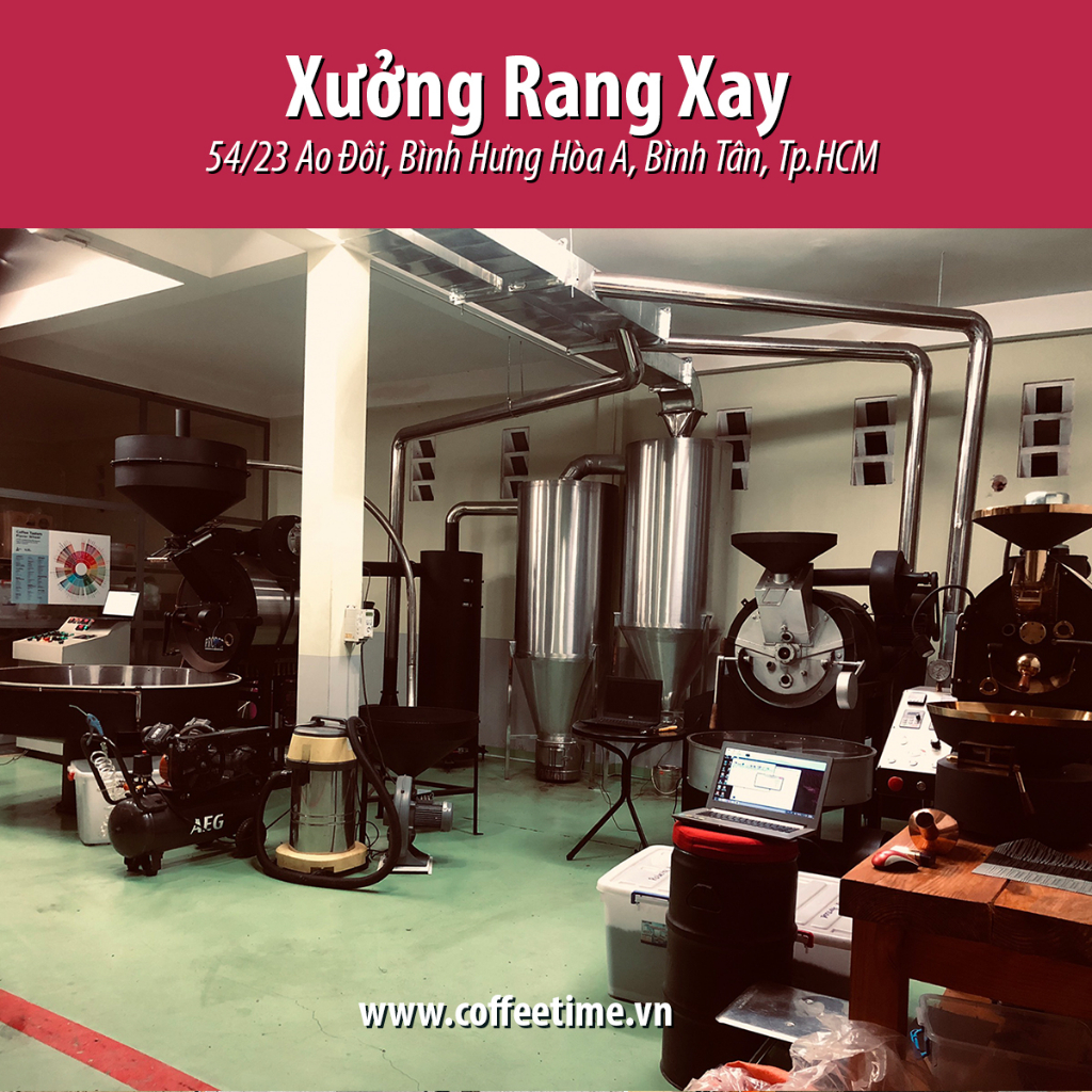 Phin.301 - Cà Phê Pha Phin 100% Robusta Honey - Thơm ngọt ngào mật ong, hậu vị sâu, đắng đậm