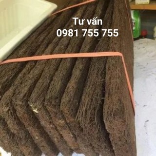DỚN BẢNG TRỒNG LAN