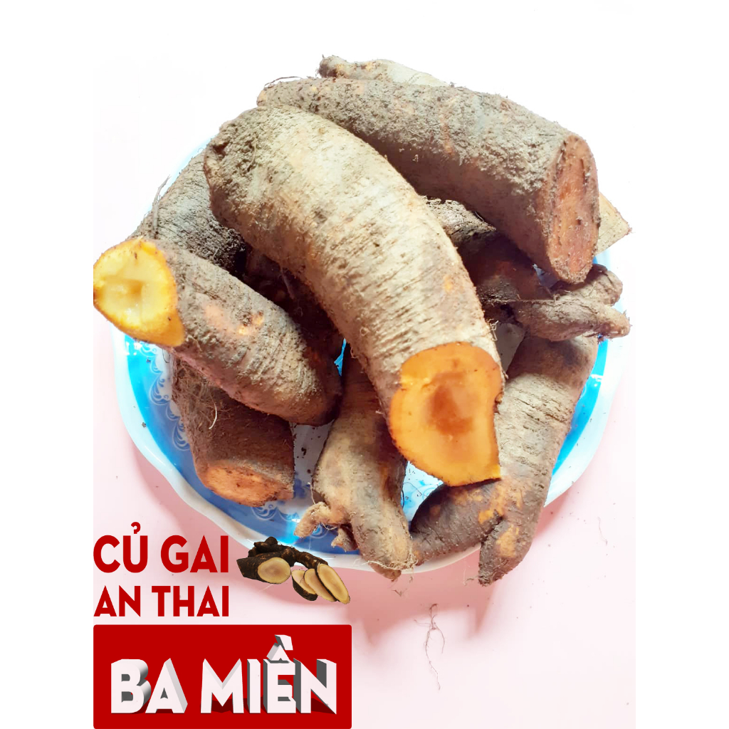 1kg Củ gai tươi an thai Ba Miền