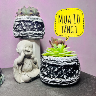 Chậu xi măng mini trồng sen đá, xương rồng..