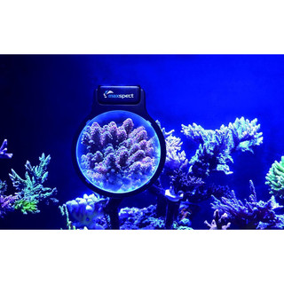 KÍNH LÚP CHO BỂ SAN HÔ MAXSPECT