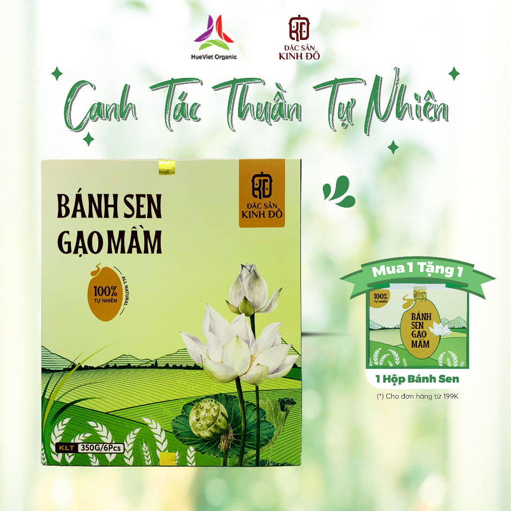 Bánh Ăn Dặm Cho Bé, Bánh Sen Gạo Mầm Huế Việt, làm từ Hạt Sen Huế Nguyên Chất và Gạo Mầm Dinh Dưỡng Cao, Hộp 350gr