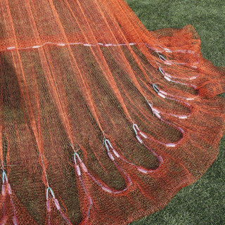 CHÀI Cá DÙ NÂU CHÂN CHÌ ĐÚC Đủ Sz