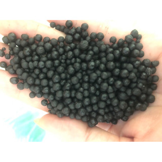 Phân dap – dap hạt đen giúp cây đâm chồi mạnh, ra rễ nhanh, nảy lộc mạnh