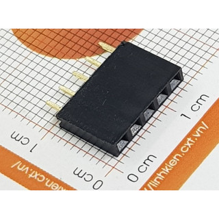 Jump cái đơn 2.54mm Chân thẳng
