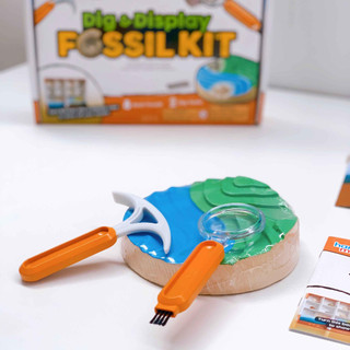 Bộ thí nghiệm khoa học chủ đề đào hoá thạch - Science Lab Kit Dig Into Fossils - Learning Resources