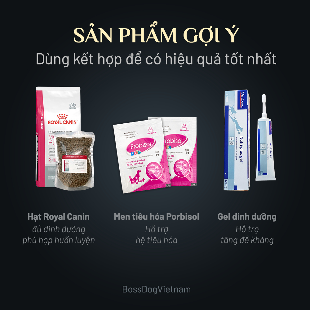 Gel Dinh dưỡng cho chó - Bổ sung Vitamin khi chó biếng ăn, tăng đề kháng | BossDog