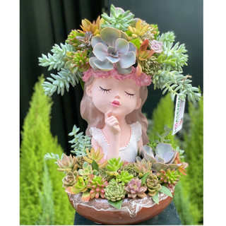 Bình vòi cong 500ml dùng tưới sen đá xương rồng