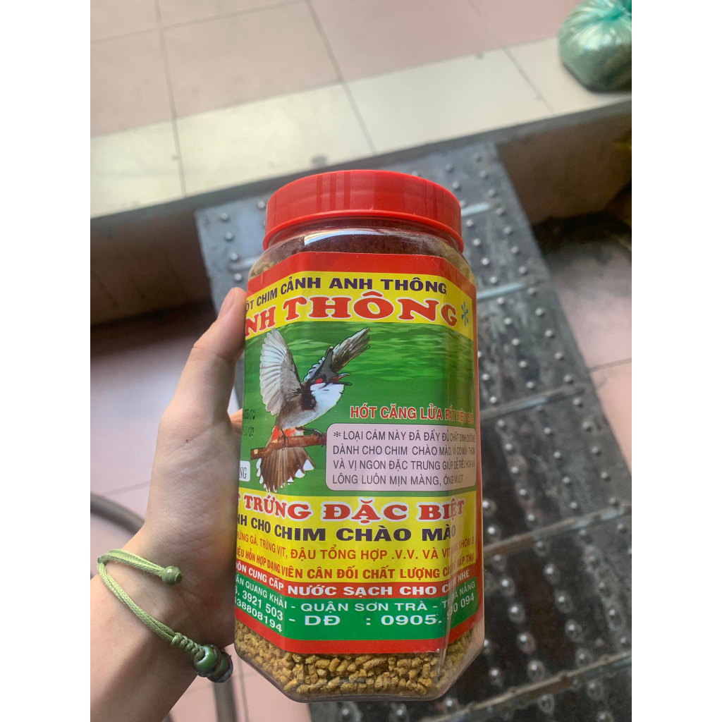Cám Chim Chào Mào Anh Thông