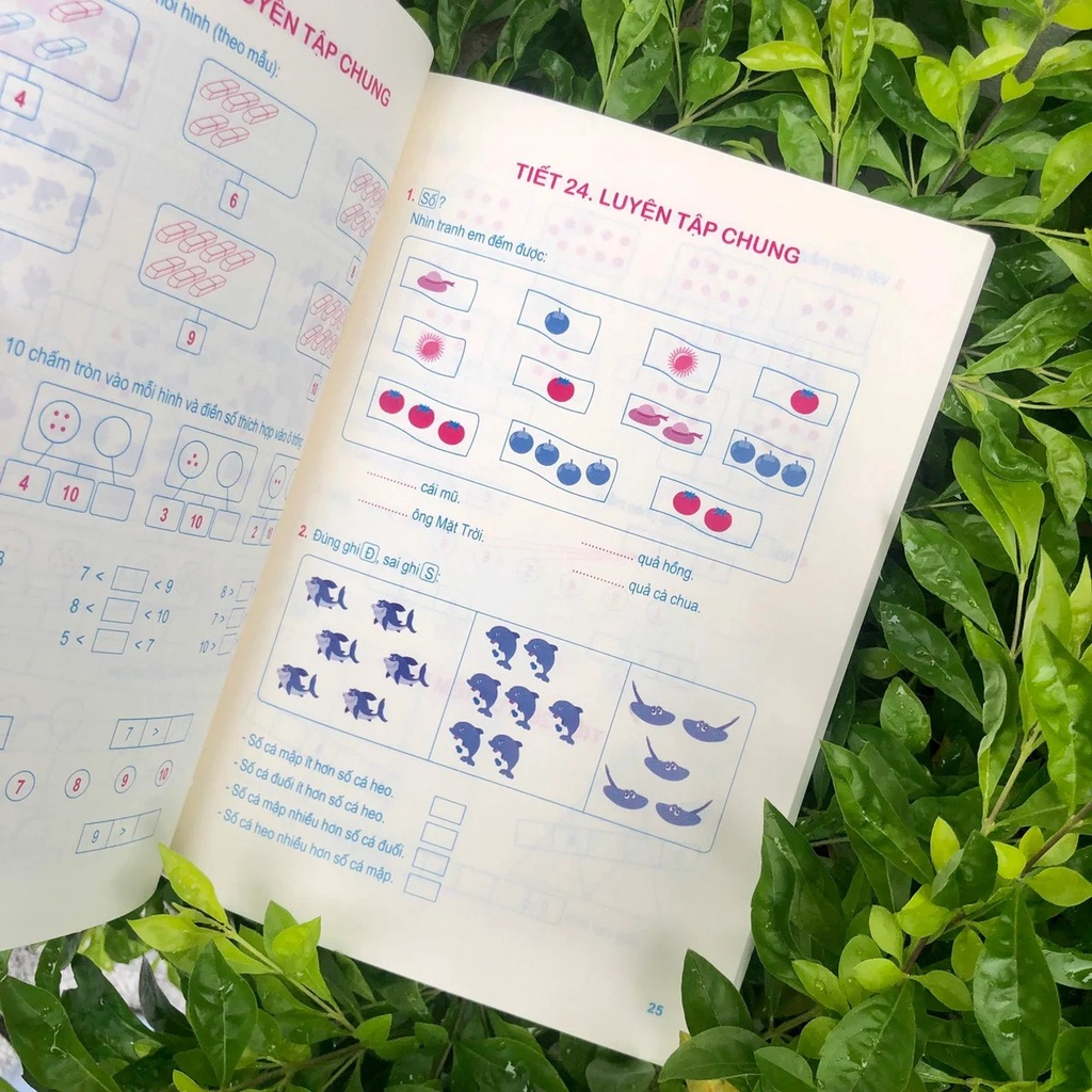 Sách Combo 2 Cuốn - Toán Nâng Cao Lớp 1