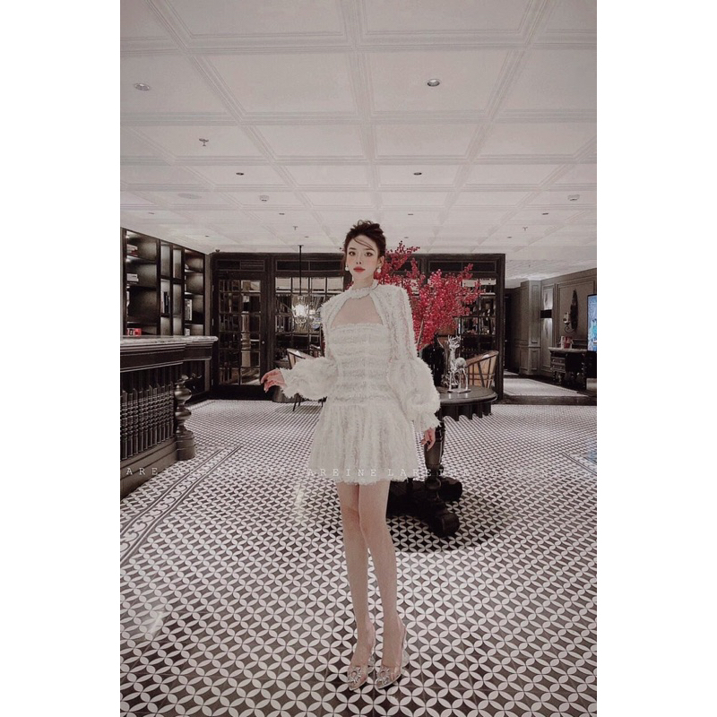 Đầm voan lông côg chua