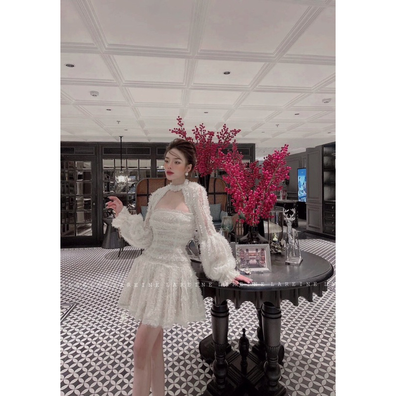 Đầm voan lông côg chua