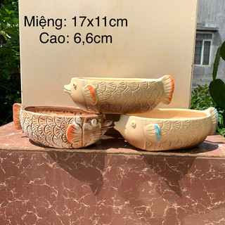 Chậu hình cá trồng sen đá, xương rồng.