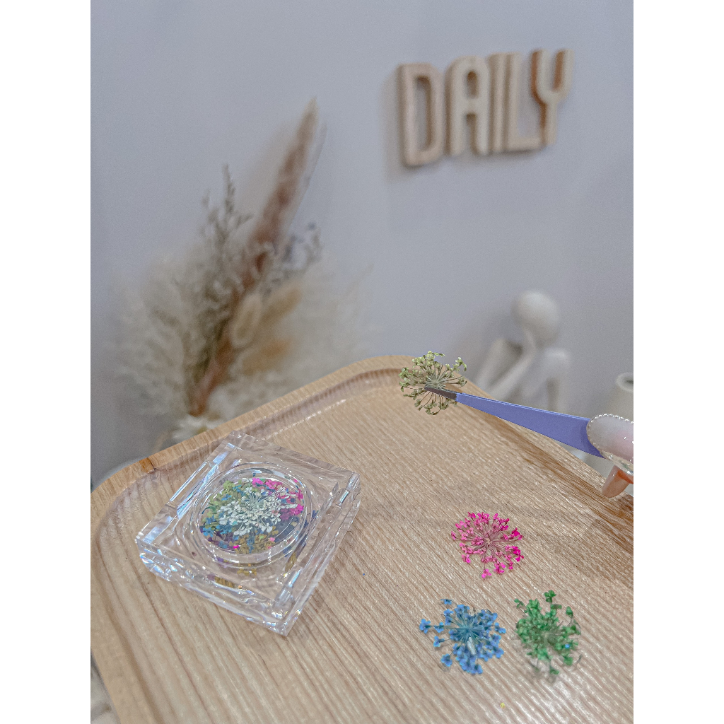Hoa khô ẩn móng Hàn Quốc Daily Nail