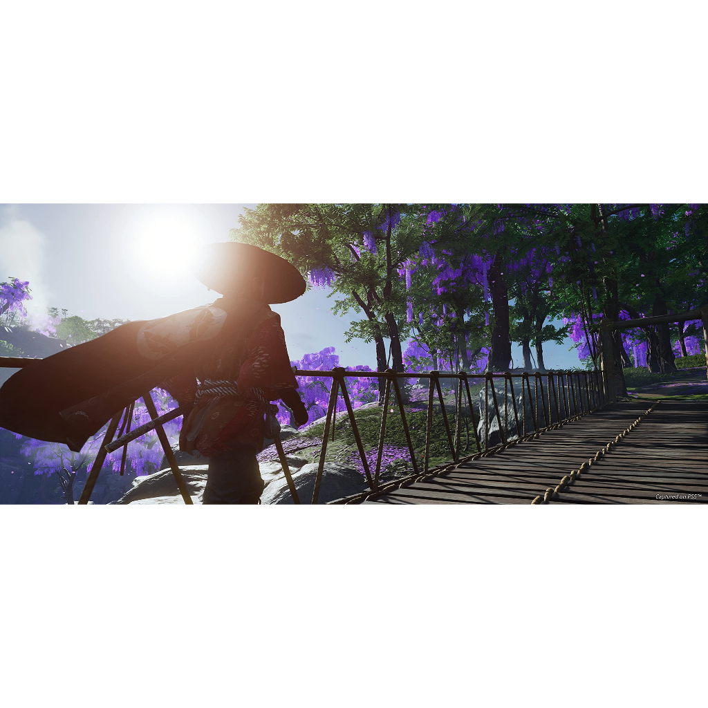 Ghost of Tsushima Director's Cut - PlayStation 5