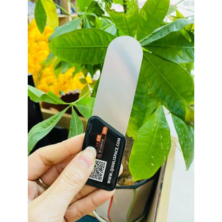 Miếng tách màn 3d dài siêu mỏng