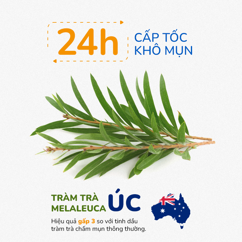 Serum Chấm Mụn Và Giảm Thâm Cấp Tốc 24H Tinh Dầu Tràm Trà Úc Anti Acnes NEOSKIN 20ml