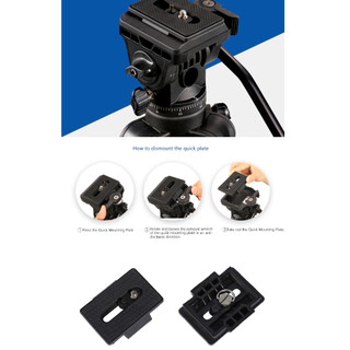CHÂN MÁY ẢNH BENRO T980 + QUÀ TẶNG