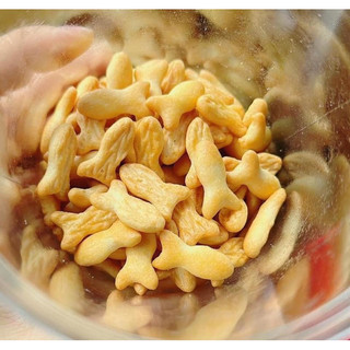 500g bánh quy cá