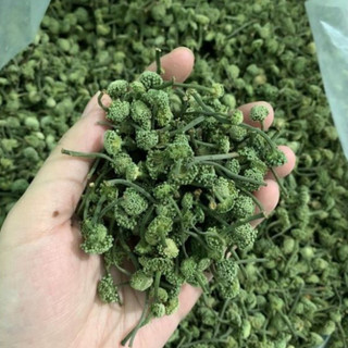 Nụ hoa tam thất hà giang 1kg nụ tam thất khô, thơm hàng chuẩn dược liệu quý