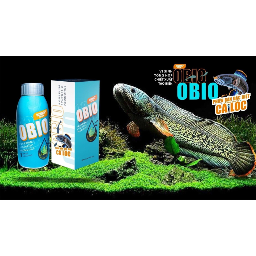 KOIKA OBIO Phiên Bản Dành Cho C.á Lóc