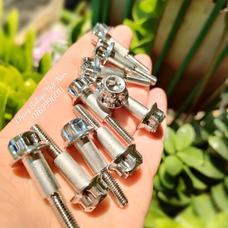 Ốc Tay Thắng Đầu Vương Niệm SALALAYA S3.