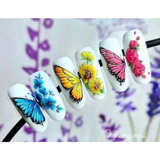 Set màu nước 36 màu   nail