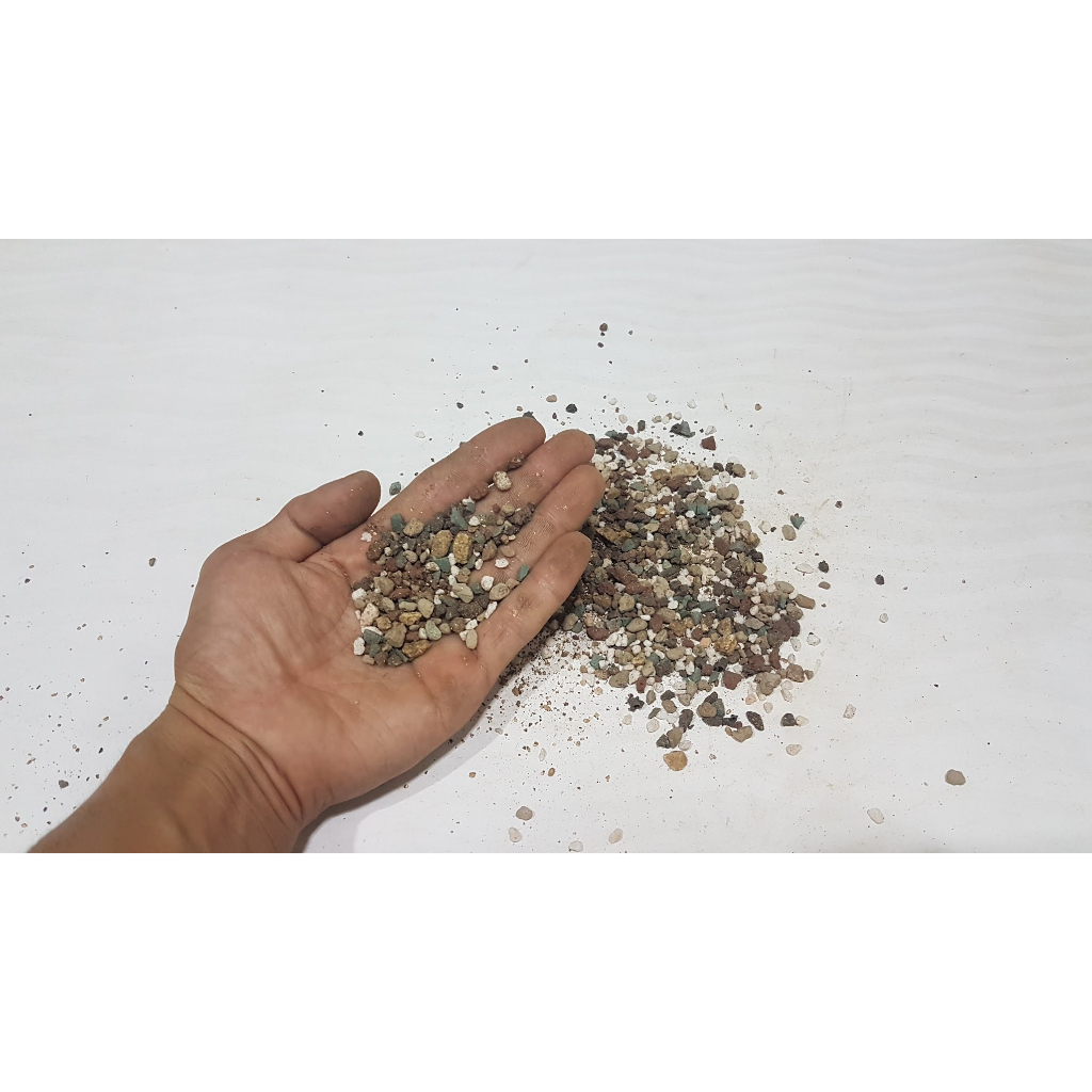 Đá cầu vồng 7 màu giá thể trồng sen đá xương rồng .