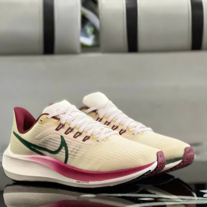 Giày Nike Pegasus 39 Nam