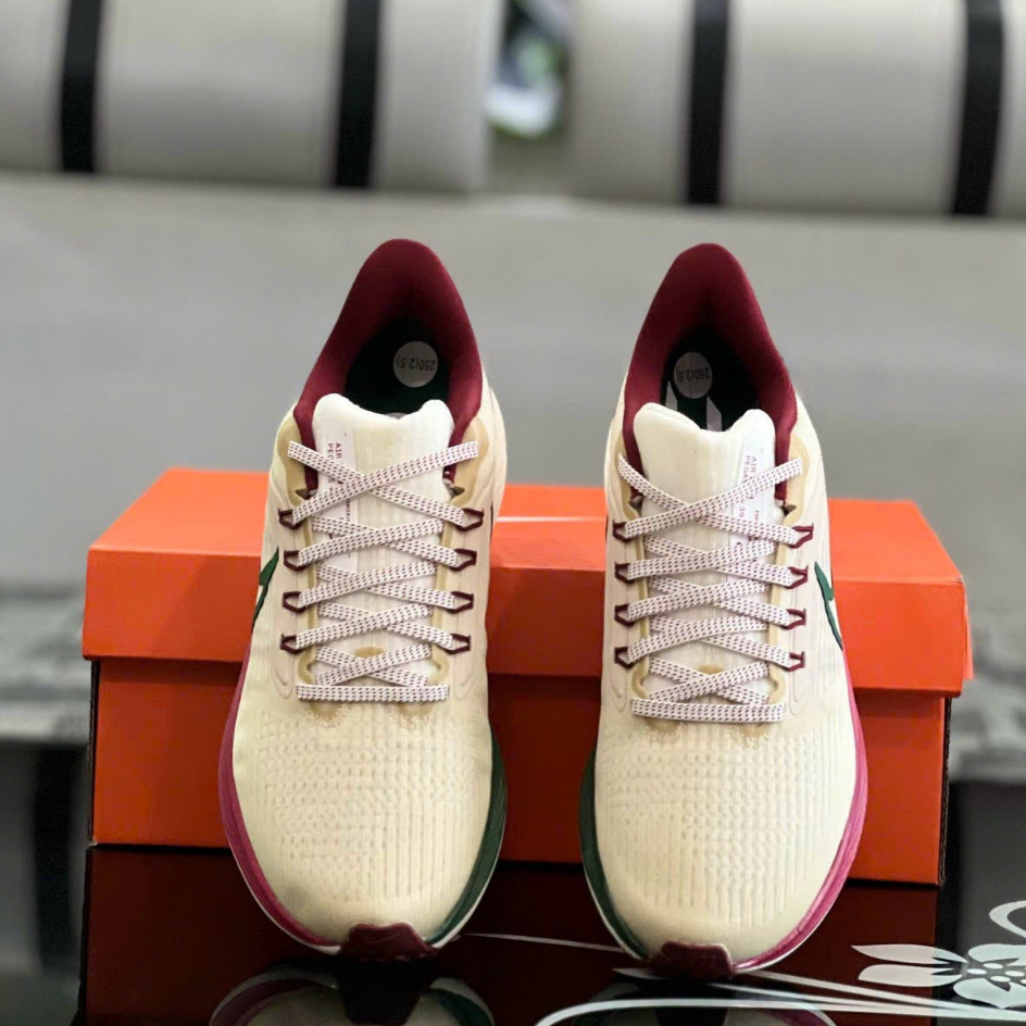 Giày Nike Pegasus 39 Nam