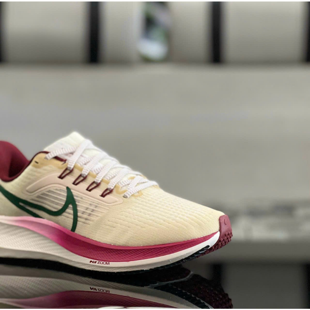 Giày Nike Pegasus 39 Nam