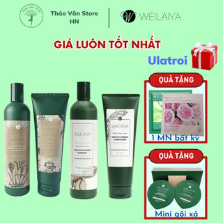 [CHÍNH HÃNG] Bộ dầu gội gừng Weilaiya, giảm rụng kích mọc tóc🌿