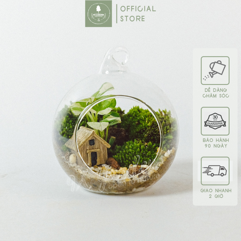 Family & Home 008 - Tiểu Cảnh Để Bàn Terrarium - Tiểu Cảnh Thủy Tinh Miệng Nghiêng - Quà Tặng Cao Cấp - 9X GARDEN