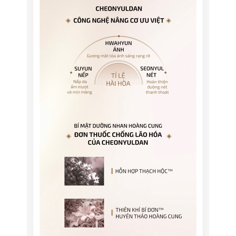 10 gói NEW - Tinh dầu tái sinh chống lão hoá Whoo CheoYuldan Ultimate mới