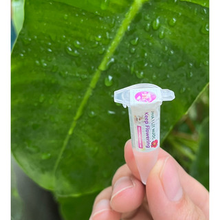 Nước cắm hoa lâu tàn keep flowering ! ống dùng cho 1l nước !