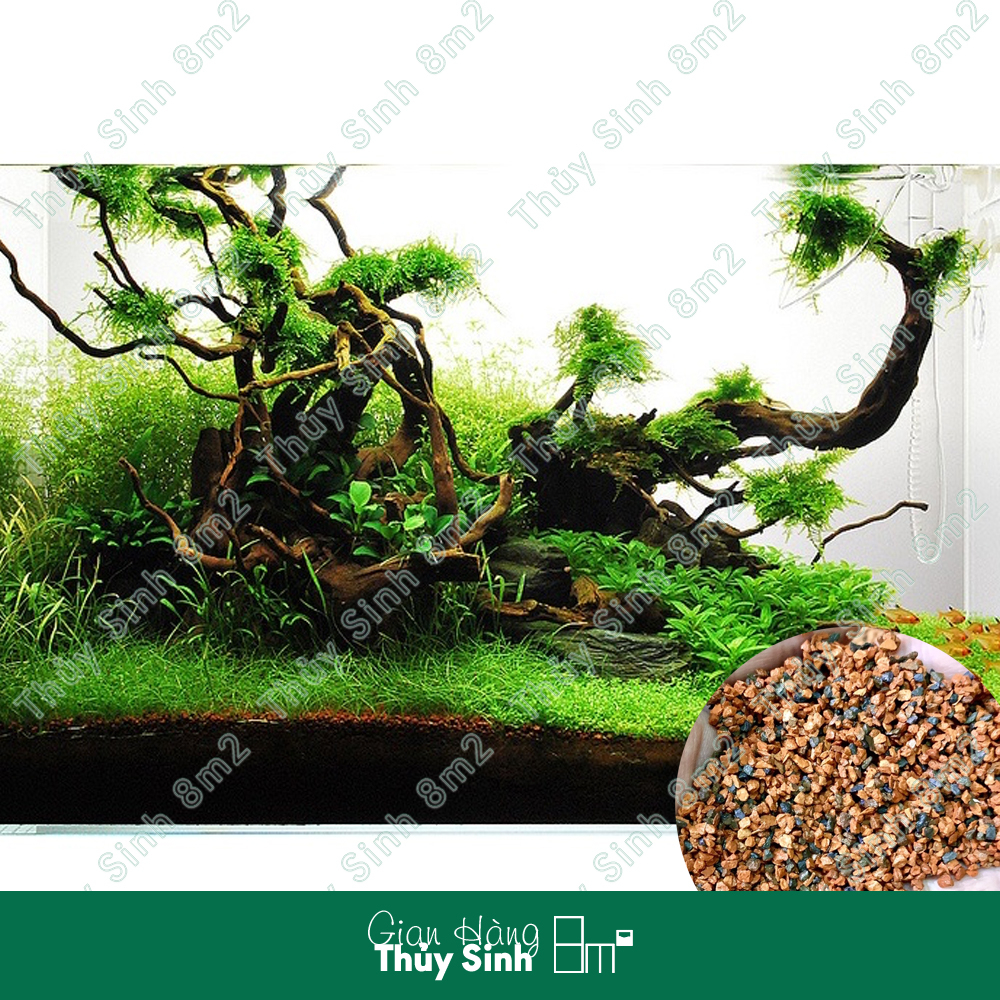 Sạn Gốm Ceramic, Nền Trơ Nuôi Cá, Nền Thủy Sinh | 8m2