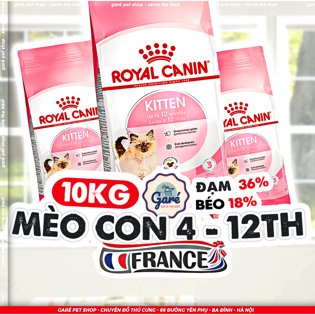 10kg Hạt mèo con Kitten 36 Royal Canin dành cho mèo con từ 4 - 12 tháng tuổi