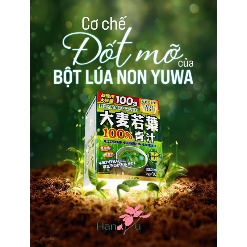 Bột trà lúa non Barley_100 gói Hàng nội địa Nhật 👍🏻