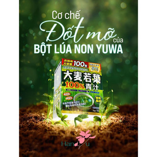 [ Date / 2026] Bột trà lúa non Barley_100 gói Hàng nội địa Nhật 👍🏻