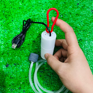 Máy sủi oxy USB mini cho cá cảnh.