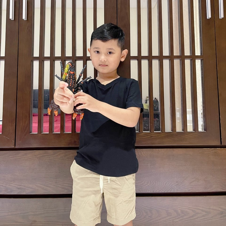 Quần short đùi bé trai size đại chất kaki Dragon Kids