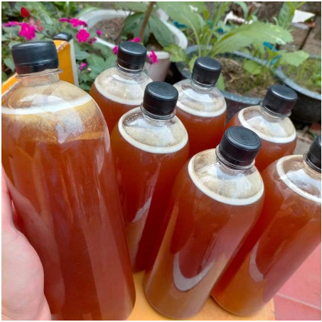 1Lít Mật ong rừng Lai Châu 100% chuẩn rừng bao đổi trả